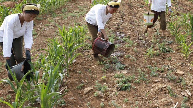 Koreas Drought_Pata.jpg
